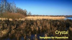  Presentation with pond - Audience pleasing slide set consisting of mudrush - pond backdrop and a  colored foreground