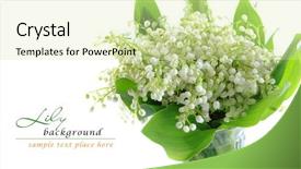 Presentation with lily - Beautiful slides featuring muguet - lily of the valley backdrop and a  colored foreground