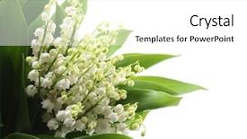  Presentation with lily of the valley close - Amazing presentation design having muguet - lovely bunch of lily backdrop and a white colored foreground