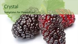  Presentation with white mulberry - Slide deck featuring mulberries with mulberry leaves isolated background and a mint green colored foreground