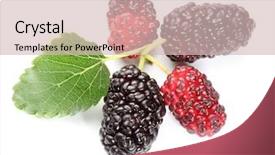  Presentation with white mulberry - PPT theme having mulberries with mulberry leaves background and a  colored foreground