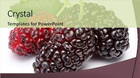  Presentation with white mulberry - Audience pleasing slide deck consisting of mulberries with mulberry leaves backdrop and a soft green colored foreground