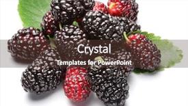  Presentation with white mulberry - Slide deck enhanced with mulberries with mulberry leaves background and a tawny brown colored foreground