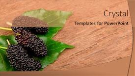  Presentation with old wood - Cool new slide deck with mulberry-and-leaf-on-old backdrop and a coral colored foreground