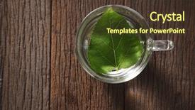  Presentation with water leaf - Audience pleasing PPT theme consisting of mulberry leaf with hot water backdrop and a  colored foreground