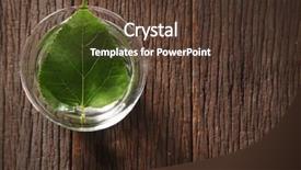  Presentation with water leaf - Cool new slide deck with mulberry leaf with hot water backdrop and a  colored foreground