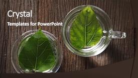 Presentation with herbal medicine - PPT layouts with mulberry leaf with hot water herbal medicine background and a tawny brown colored foreground