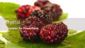  Presentation with white mulberry - 