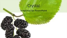  Presentation with white mulberry - Presentation consisting of mulberry with leaf isolated background and a yellow colored foreground