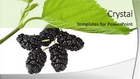  Presentation with white mulberry - PPT layouts featuring mulberry with leaf isolated background and a yellow colored foreground