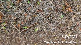 Presentation with mulch - PPT theme featuring mulch background background and a violet colored foreground