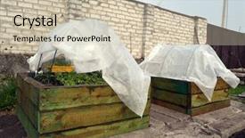  Presentation with beds - Colorful PPT theme enhanced with wooden frame geotextile cover backdrop and a soft green colored foreground