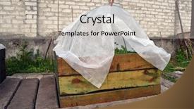  Presentation with beds - Amazing PPT theme having wooden frame geotextile cover backdrop and a soft green colored foreground