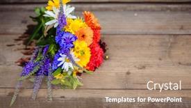  Presentation with calendula - Audience pleasing slides consisting of multi-colored-bouquet-of-wildflowers backdrop and a coral colored foreground