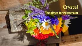  Presentation with calendula - Theme featuring multi-colored-bouquet-of-wildflowers background and a tawny brown colored foreground