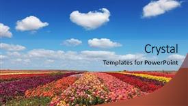  Presentation with broad - Beautiful PPT layouts featuring multi-colored decorative flower backdrop and a light blue colored foreground