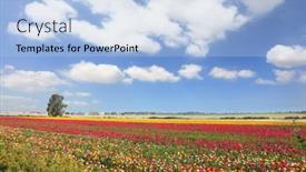  Presentation with israel - 