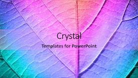  Presentation with multicolor - Cool new theme with multi colors - multicolor fresh leaf close up backdrop and a lilac colored foreground