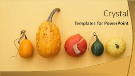  Presentation with winter - Slide deck consisting of multicolored-decorative-gourds-and-winter background and a yellow colored foreground