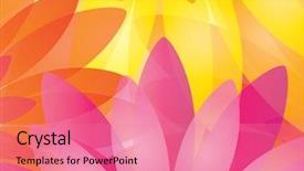  Presentation with portfolio - Slides consisting of multicolored floral background vector format background and a coral colored foreground