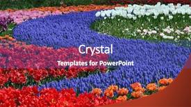  Presentation with carpet - Cool new presentation theme with multicolored flower carpet backdrop and a ocean colored foreground