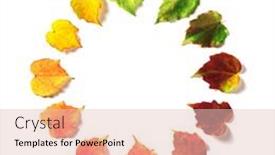  Presentation with circle - Presentation featuring multicolored-leaves-are-harmoniously-arranged background and a lemonade colored foreground