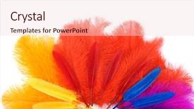  Presentation with carnival - Presentation design consisting of multicolored ostrich feathers on white background and a lemonade colored foreground