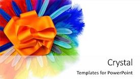  Presentation with background - Theme having multicolored ostrich feathers on white background and a white colored foreground