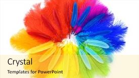  Presentation with multicolor - Presentation design consisting of multicolored ostrich feathers on white background and a yellow colored foreground