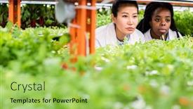  Presentation with multicultural - Presentation design featuring multicultural-group-of-female-researchers background and a yellow colored foreground