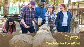  Presentation with ranch - PPT layouts having multicultural-male-and-female-farmers background and a violet colored foreground