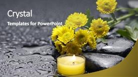  Presentation with water drops - Colorful presentation enhanced with multiple alternatives - bouquet of chrysanthemum with black backdrop and a  colored foreground