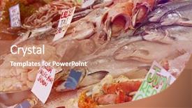  Presentation with fish in ponds - Cool new PPT layouts with multiple alternatives - fish on display at fish backdrop and a coral colored foreground