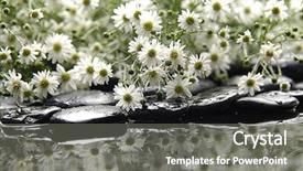  Presentation with stones - Presentation design featuring multiple alternatives - lot of bouquet marigold background and a  colored foreground