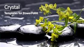  Presentation with spa stones leaves - Beautiful slides featuring multiple alternatives - spa black stones and leaves backdrop and a  colored foreground