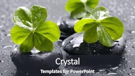  Presentation with spa stones leaves - Presentation theme enhanced with multiple alternatives - spa still life with black background and a  colored foreground