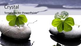  Presentation with spa stones leaves - Beautiful slide set featuring multiple alternatives - spa still life with black backdrop and a  colored foreground