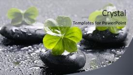  Presentation with spa stones leaves - Slides with multiple alternatives - spa still life with black background and a  colored foreground