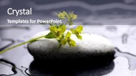  Presentation with water life - PPT layouts consisting of multiple alternatives - spa still life with water background and a  colored foreground