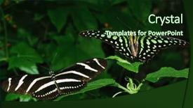  Presentation with beautiful green - Presentation having multiple antennas - beautiful colorful butterflies perching background and a  colored foreground