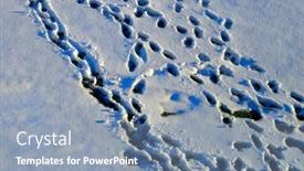  Presentation with footprints - Presentation having multiple-or-many-footprints-foot background and a seafoam green colored foreground