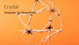  Presentation with spider web - PPT layouts featuring multiple-spider-toys-forming background and a yellow colored foreground