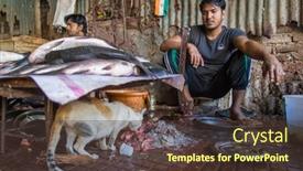  Presentation with vendor - 