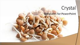  Presentation with food habit - Cool new theme with mung bean - macrobiotic food backdrop and a white colored foreground