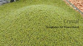 Presentation with market - Amazing PPT theme having mung-bean-market-sale backdrop and a gold colored foreground