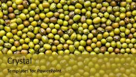  Presentation with beans - Audience pleasing slide deck consisting of mung beans background backdrop and a gold colored foreground