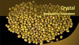  Presentation with black gram - Cool new slide deck with boy in funny glasses reading book on white background backdrop and a gray colored foreground