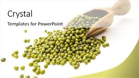  Presentation with cacao fruit raw cacao beans - Cool new presentation with mung beans backdrop and a white colored foreground