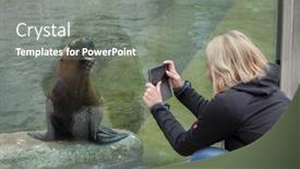  Presentation with bavaria - Slides with munich-germany-june-13-2016 background and a gray colored foreground