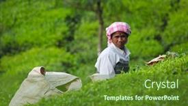  Presentation with munnar - 